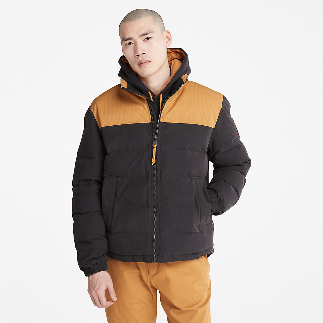 Black,XXS,179