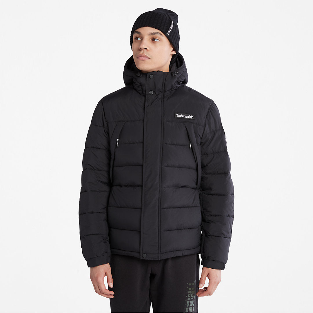 Black,XXS,243