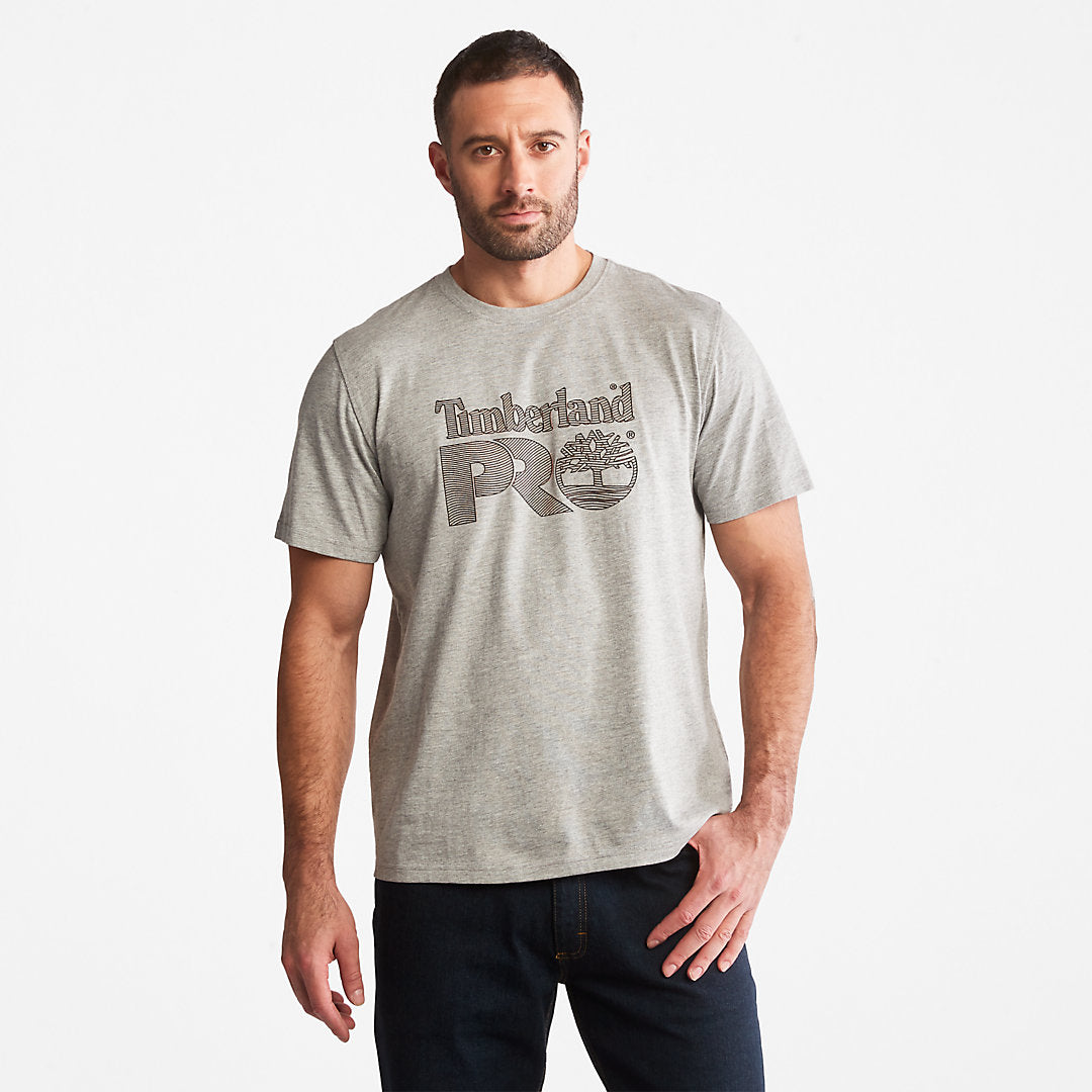 Light Grey,XXS,34